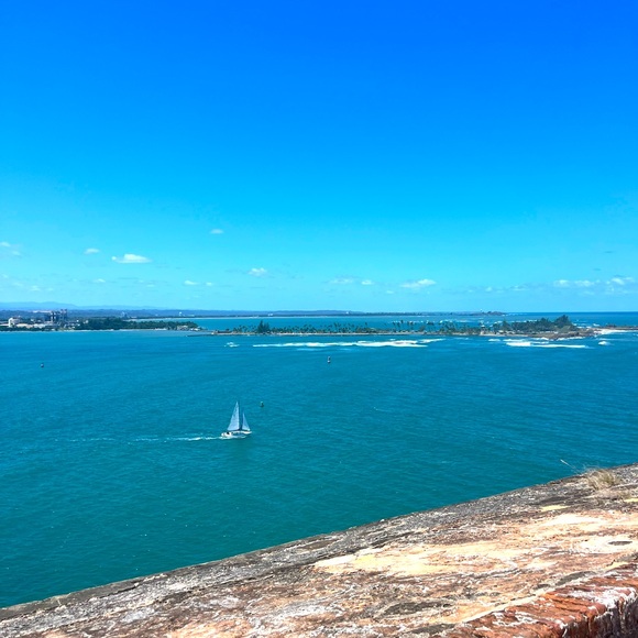 Meet your Posher, Lilly - Picture 1 of 1